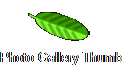 Photo Gallery Thumb Nails