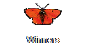 Winners