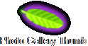 Photo Gallery Thumb Nails