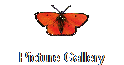 Picture Gallery