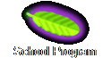 School Program